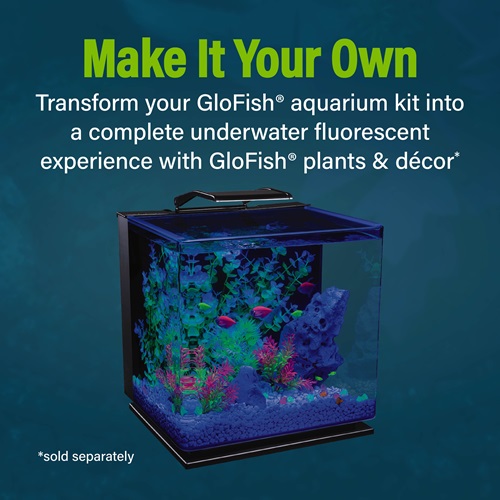 GloFish Aquarium Kit 10 Gallon GloFish®